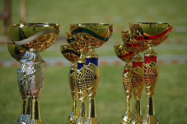 win, cup, competition, the place, reward, medal, win, reward, reward, reward, reward, reward. Prämienbedingungen verständlich erklären