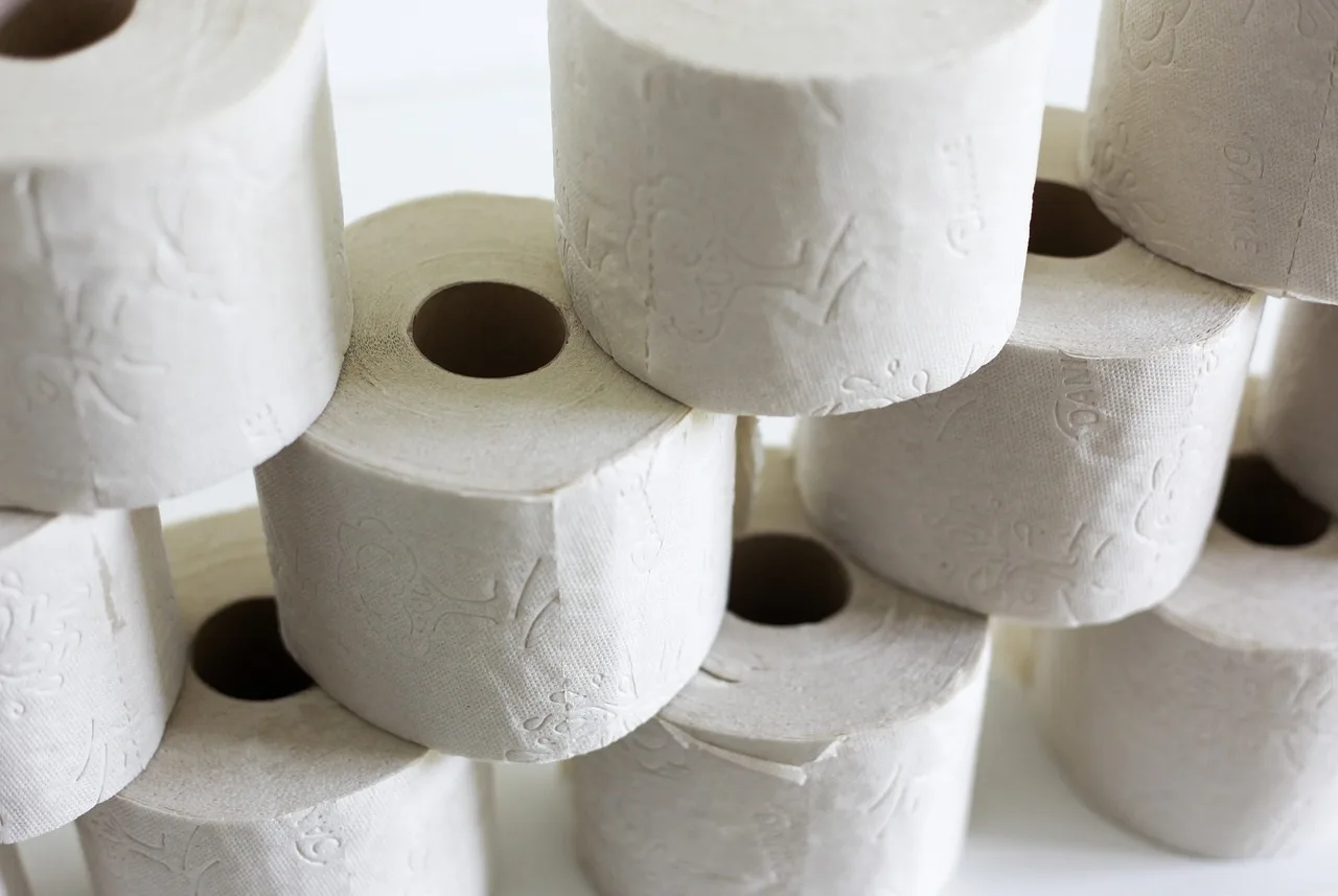 toilet paper, stack, hygiene, toilet, role, loo, paper, wc, corona, hamster purchases, toilet paper, toilet paper, toilet paper, toilet paper, toilet paper